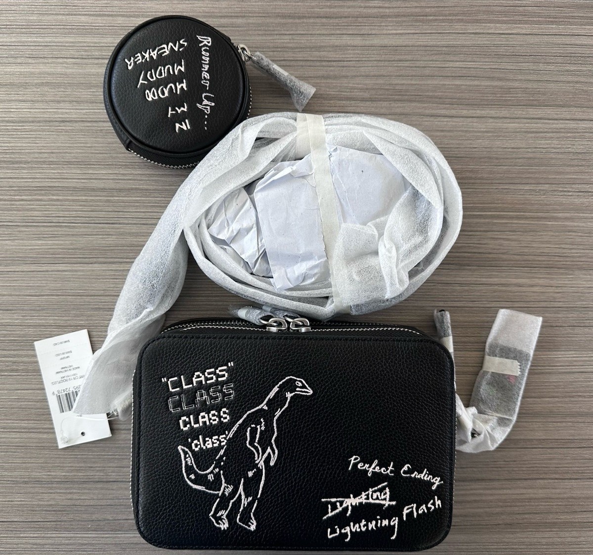 NWT Coach Charter Crossbody Bag 19 With Dinosaur Sketch Print