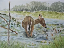 "Stopping for a Drink" Original Watercolor Painting Wildlife Animal Deer Creek