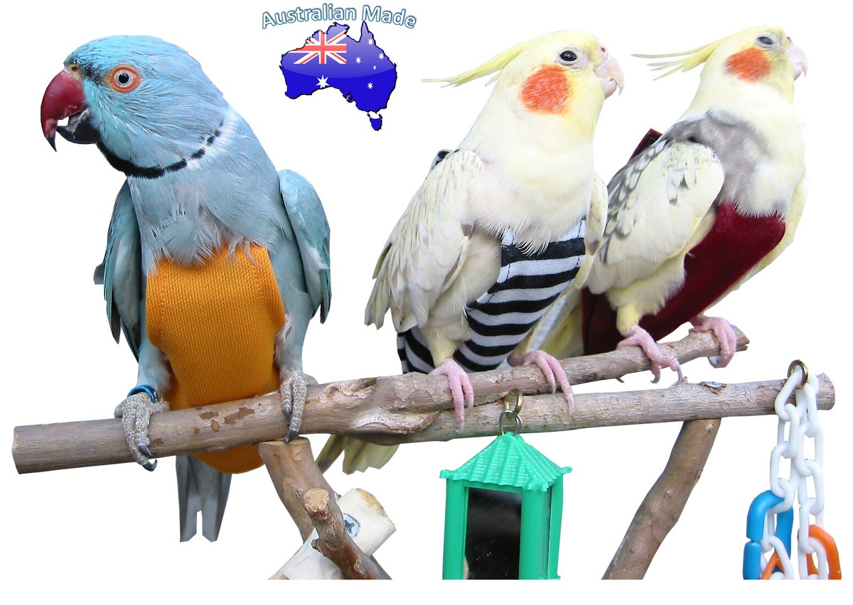 Bird Diaper Outside Cage Suit Rainbow Lorikeet Ringneck Medium