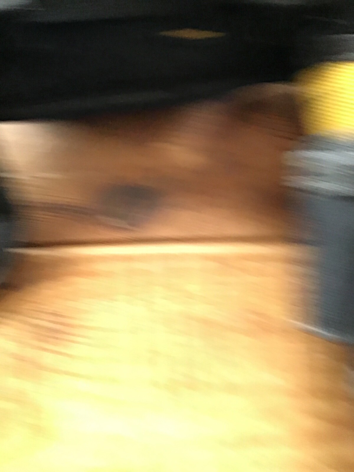 Dewalt Tool Belts & Yoke style braces and pouches, hammer holster,Yellow/Black eBay