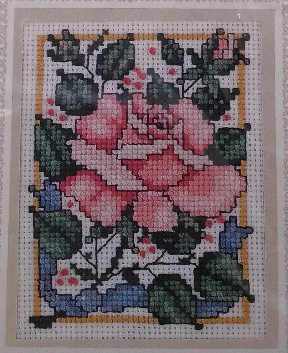 Picture 5 of 5