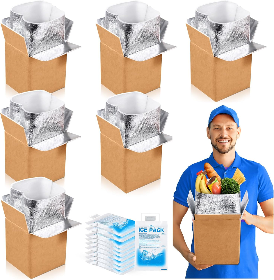 Insulating Ice 4 Pcs Thermal Insulated Shipping Boxes for Frozen Food with Ice Pack ...
