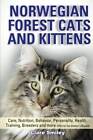Norwegian Forest Cats and Kittens Care, Nutrition, Behavior, Personalit - Good