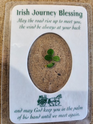 The National Emblem of Ireland & Symbol of Good Luck Shamrock 6er Set (CL 129) - Bild 7 von 7