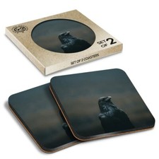 2 x Boxed Square Coasters - Crow Blackbird Raver Black Bird  #44745