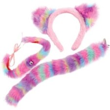 Rainbow Cat Accessory Kit