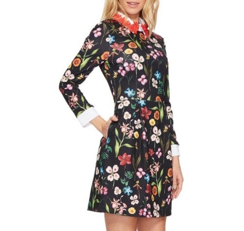 Ted Baker Tillena Hampton Collar Floral Dress Size 2 EUC - 第 1/3 張圖片