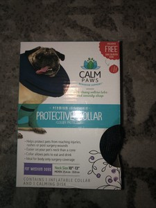 calm paws protective collar medium