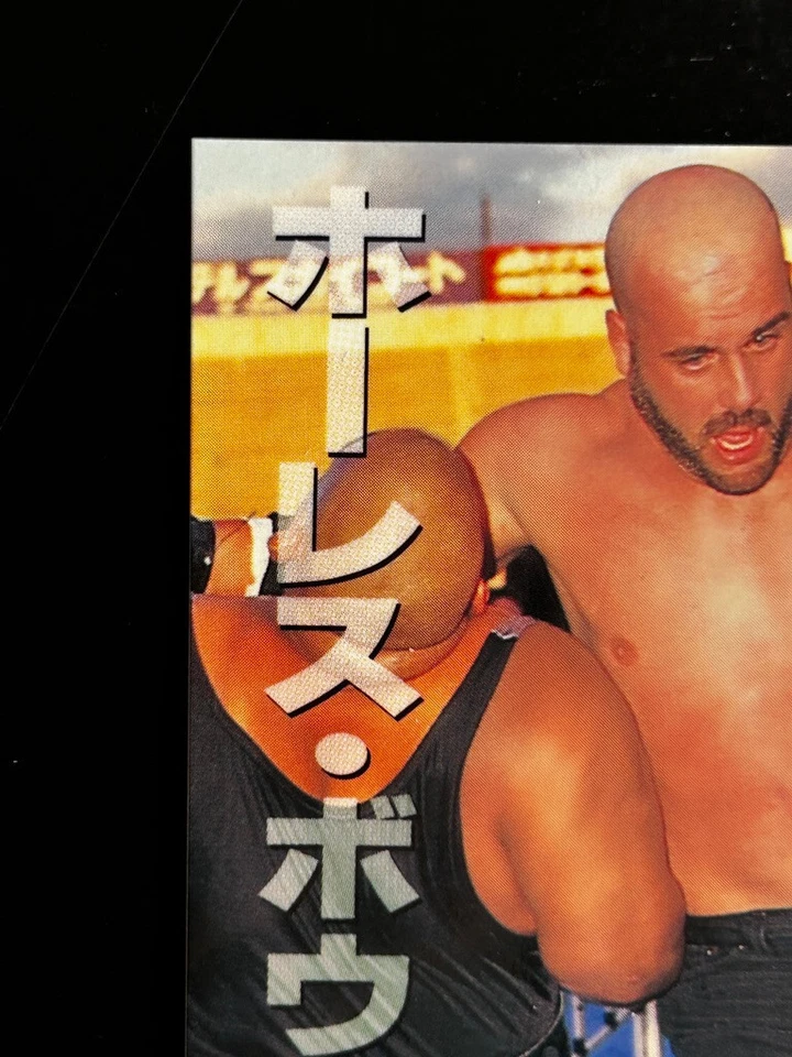 Horace Hogan Horace Boulder Pro Wrestling Card 87 Professional Japanese 1996 BBM - Image 2 of 4