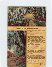 Postcard Legend of the Spanish Moss, Florida