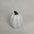 Foto 6 di 8
