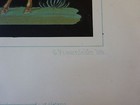 Bild 12 von 12