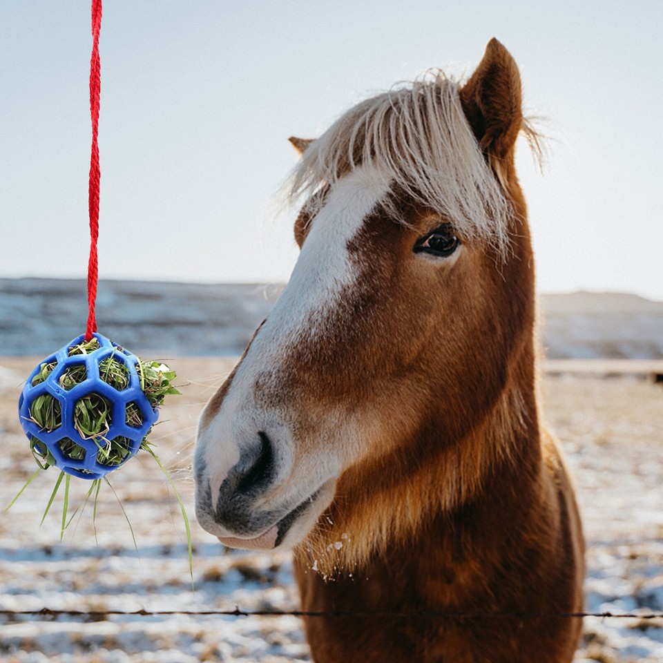 Horse Treat Ball Feeder Toy Hay Ball Hanging Feeding Toy for Horse