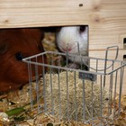 Bild 3 von 12