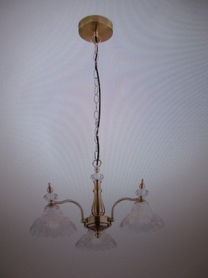 Oukaning 3-Light Gold Modern Petal-Shaped Shaded Pendant Light with Glass Shade