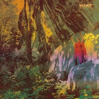 The Wake - Thought Form Descent - - (Cd / Titel: Q-Z)