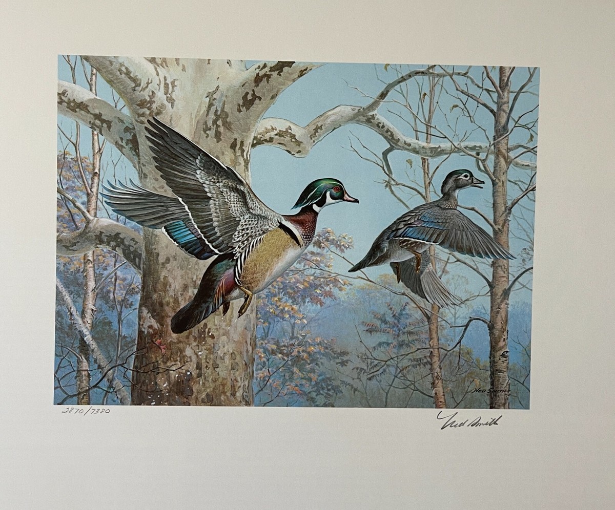 1983 PENNSYLVANIA - LotP - State Duck Stamp Print **NED SMITH