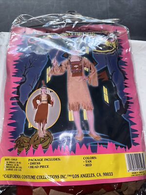 California Costumes Girls Running Brook Indian Girl Halloween Costume Med 8-10