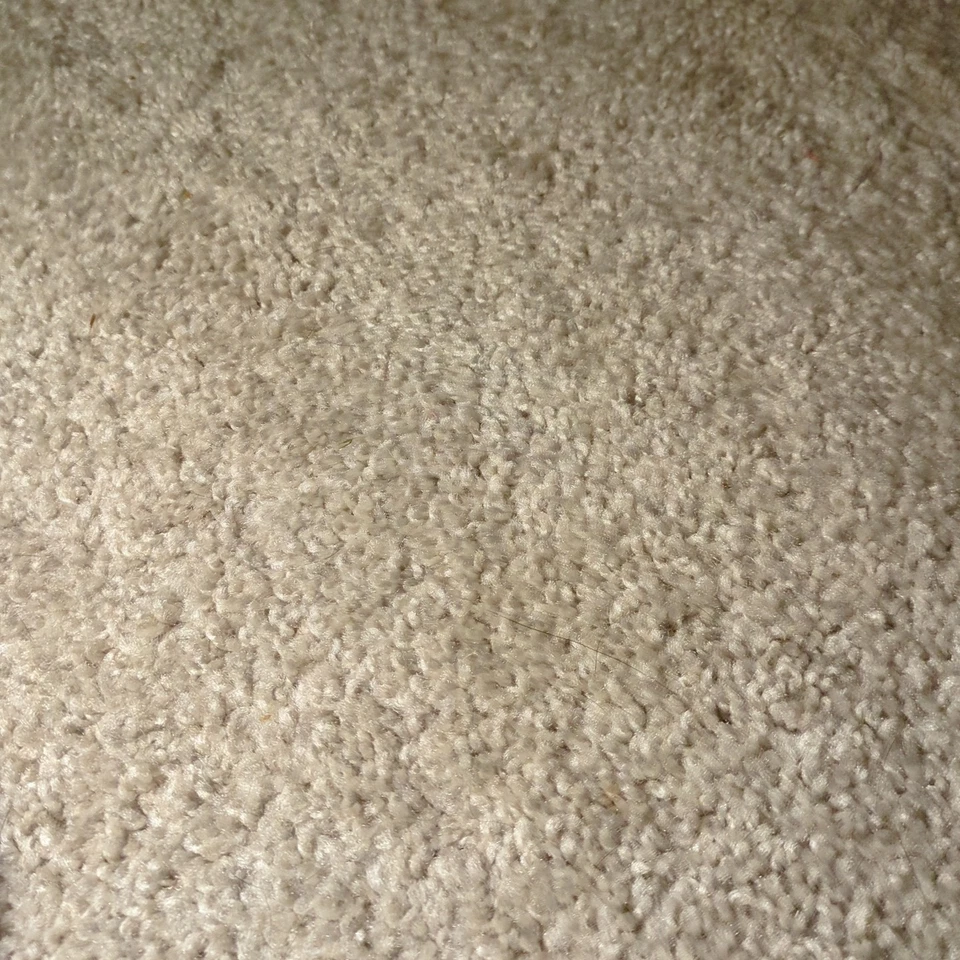 (2) Sunbeam Oskar 14081 Food Processor Disk Shredder Blades Replacement Part - Image 3 of 4