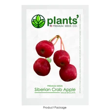 Siberian Crab Apple | Premium Seeds | Malus baccata 'Fruit' | Plants'®