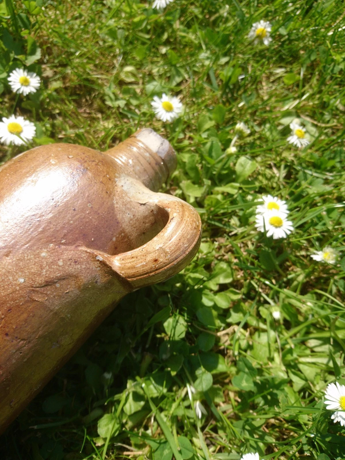 Bild 12 von 19