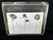 Stampin' Up! MORE PETAL PRINTS 3 Wood Mounted Rubber Stamps 2004 NOS VTG Flowers