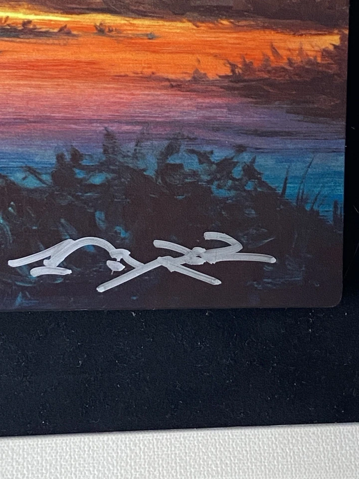 Мэтт Байерр подписанный художник доказательство IAP кальдограф «От заката до рассвета» Ltd издание в рамке - Изображение 2 из 4