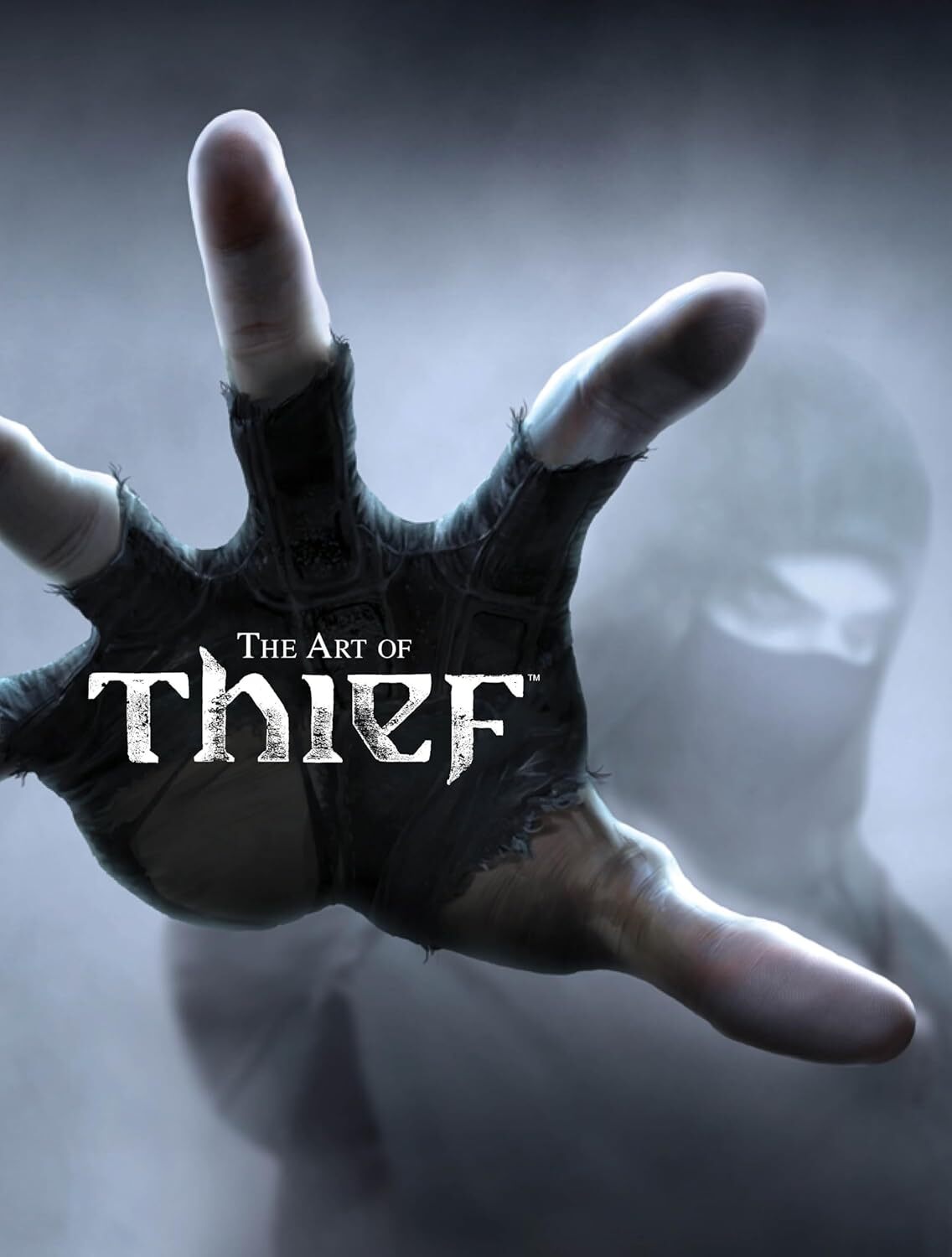 The Art of Thief [hardcover] Paul Davies [Feb 25, 2014]