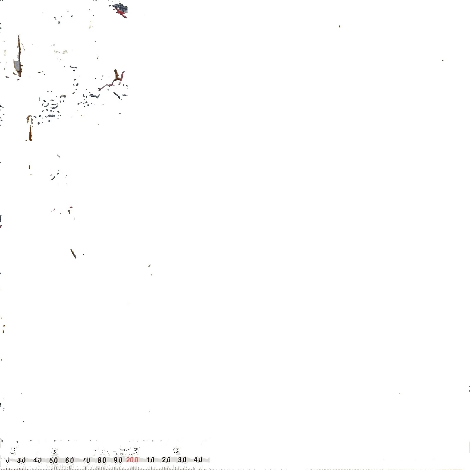 Beach & Nautical Quilting Craft Fabrics