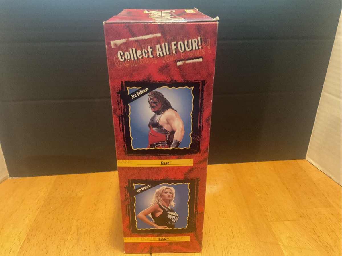 Jakks Pacific WWF Jakk'd up Undertaker Big Heads Figure KB