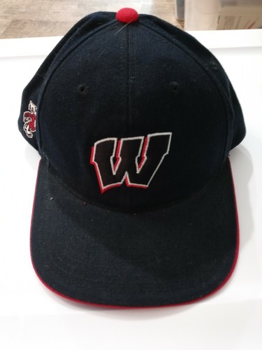 College Football Wisconsin Badgers Hat 