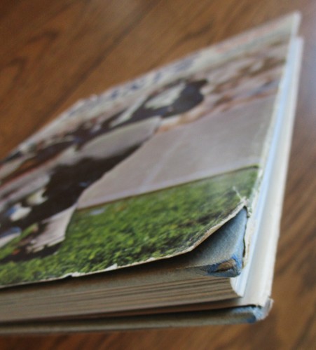 "The New York Giants: Story of a Football Team" by Dan Rubin / Al DeRogatis, 1st - Imagen 2 de 17