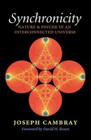 Synchronicity | Joseph Cambray | Taschenbuch | Einband - Flex.(Paperback) | 2015