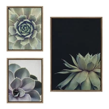 Sylvie Succulent Framed Canvas Wall Art Set by Emiko and Mark Franzen of F2Im...