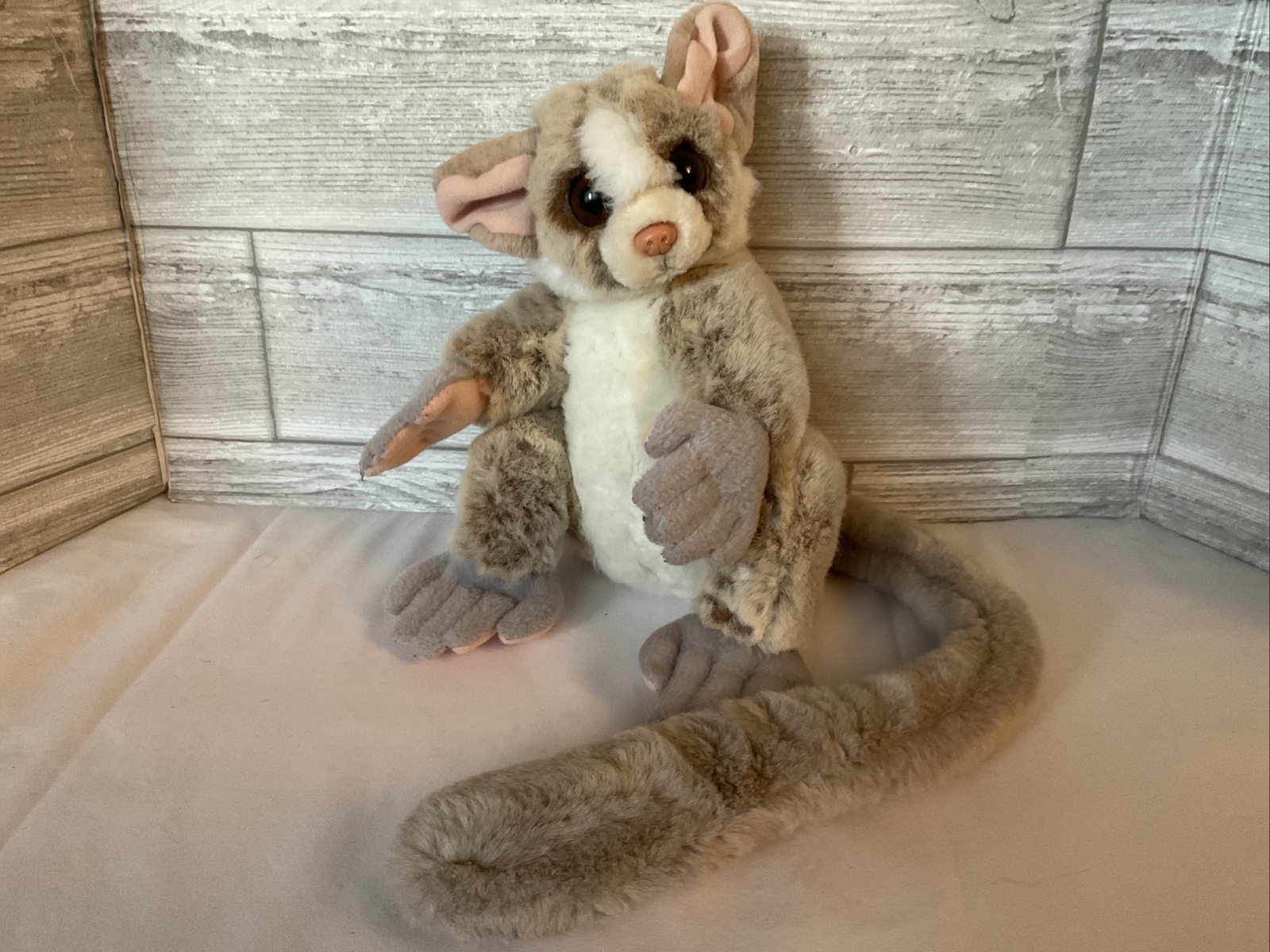 webkinz sugar glider