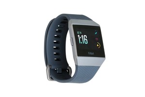 fitbit ionic gray
