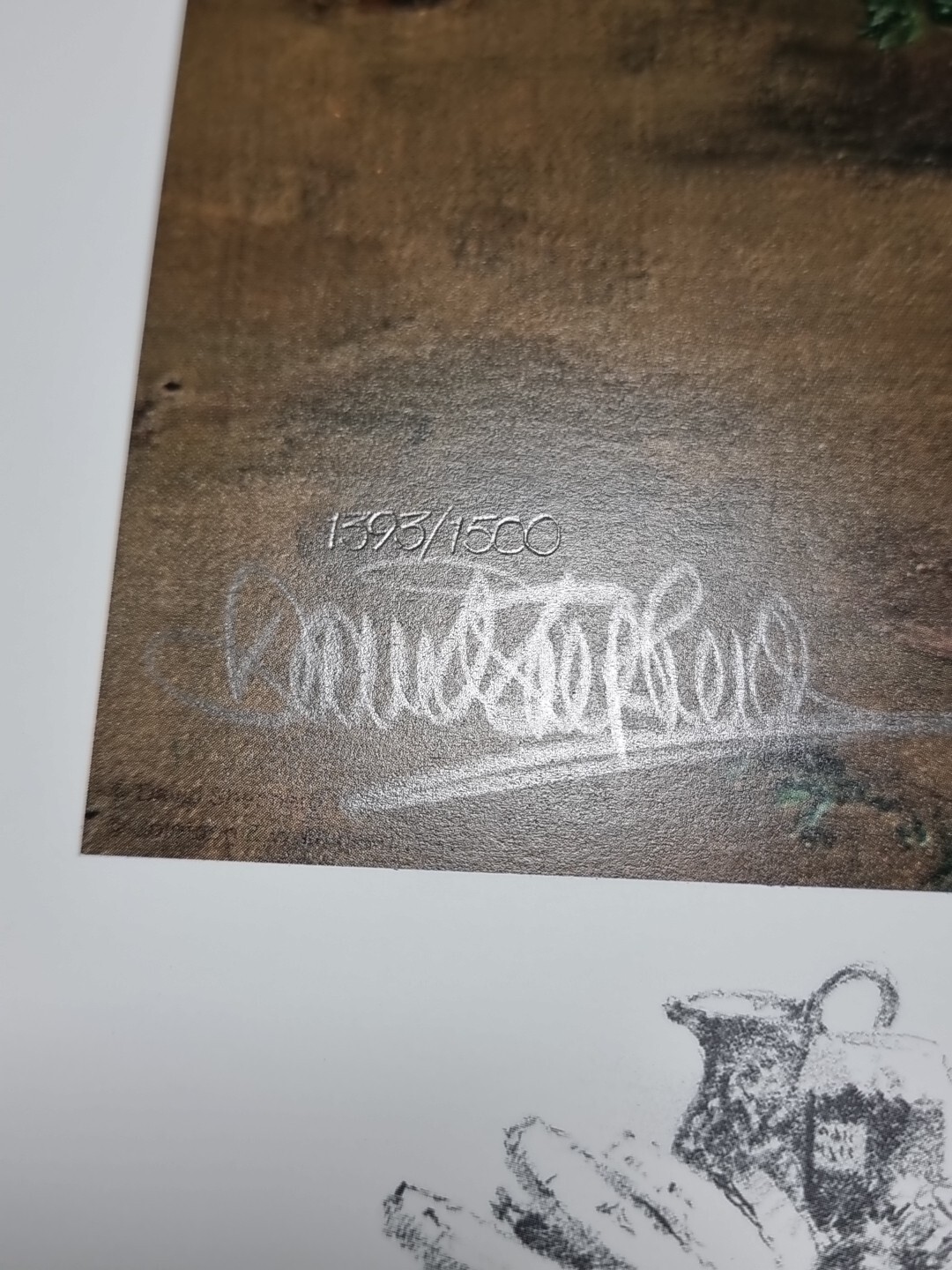 Picture 5 of 8