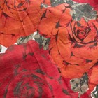 Foto 16 di 21