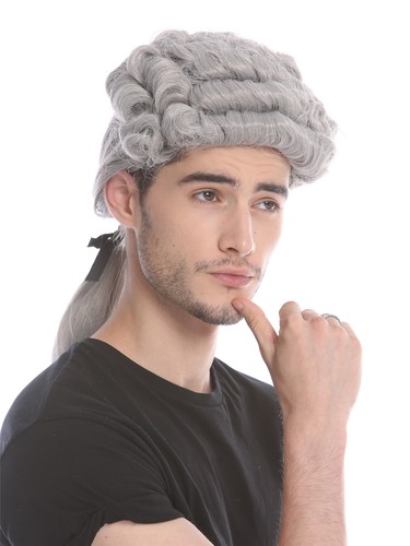Barocco Uomo Parrucca Nobiluomo Lord Richter Poeta Opaco Grigio Boccoli Lungo - Foto 4 di 8