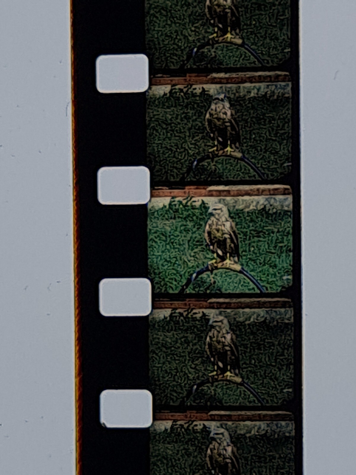 Photo 10/11