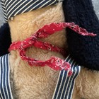 Bild 9 von 17