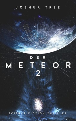 Joshua Tree / Der Meteor 2 /  9783963571282