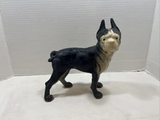 Antique  Cast Iron Boston Terrier Bull Dog Door Stop 10”