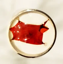 Charley Harper Flying Squirrel Rodent 1" Glass Sewing Button CH714