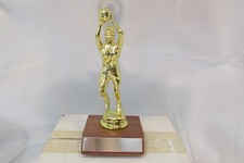 BASKETBALL Girls Female Special Award Trophy, Real Wood Base FastShip