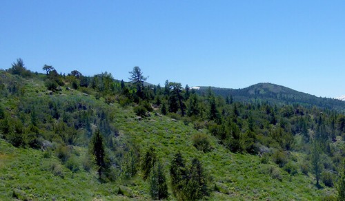 TrainJunkies Sierra Range Model Railroad Backdrop - Picture 2 of 6