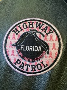 Florida Highway Pink Patch