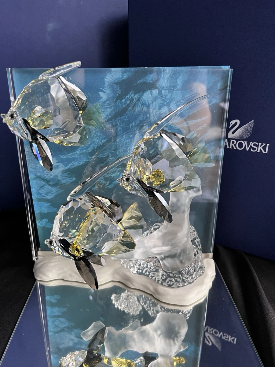 Swarovski スワロフスキー 置物 ワンダー・オブ・ザ・シー コミュニティ swarovski wonders of the sea products for sale | eBay