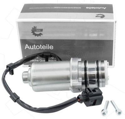 Pumpe Haldex Vorladepumpe hinten für AUDI A3 VW SEAT SKODA 0AY598549A 0BS598549