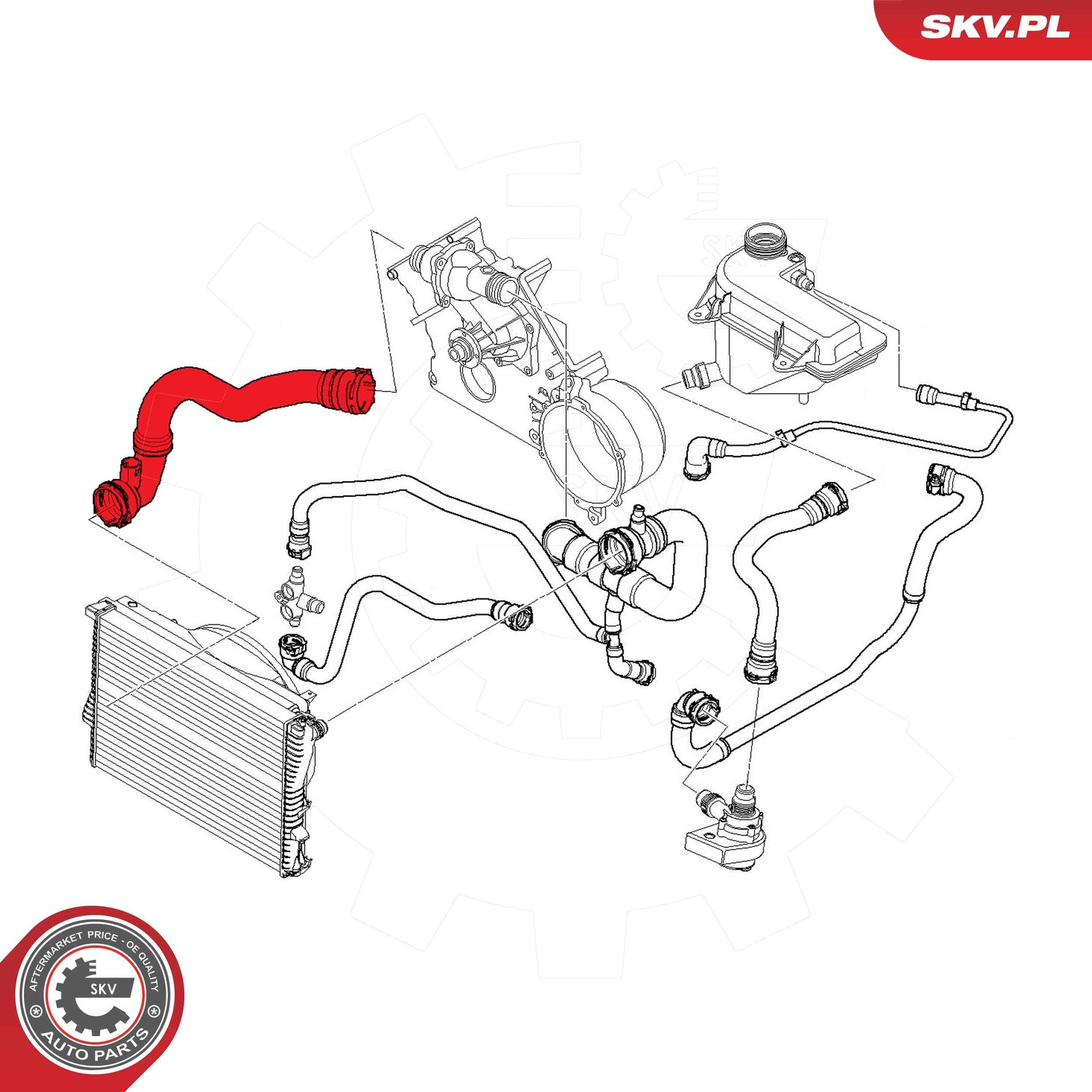 Fits SKV GERMANY 54SKV772 RADIATOR HOSE 54SKV772